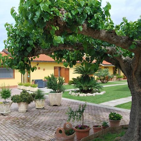 Bed and Breakfast Le Terre Di Bac Borgo Montenero Екстер'єр фото